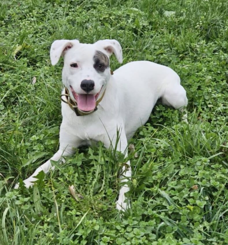 WhatsAb'ypp Image 2026-02-20 at 09.43.34.jpeg